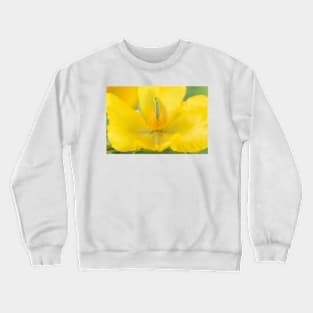 Glaucium flavum  Seaside poppy  Yellow horned poppy Crewneck Sweatshirt